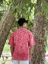 pink cat  4.webp