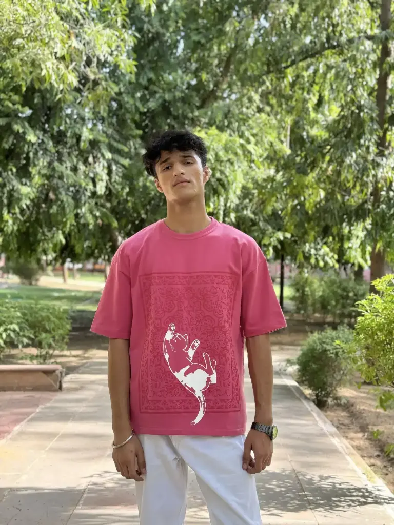 pink cat 1.webp